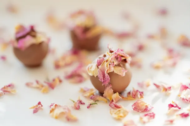 LottoKings Casino Android/iOS aplikacija